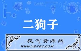 “二狗子，你变了”是什么意思？