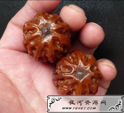 “盘他”是什么意思?