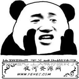 “醒工砖”是什么意思？