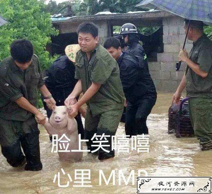 “脸上笑嘻嘻心里mmp”是什么梗？