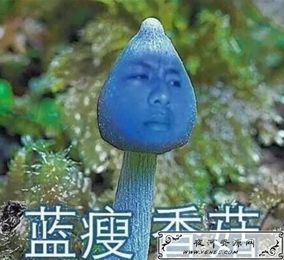 “蓝瘦,香菇”什么意思?