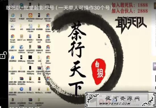 白狼敢死队最新抖音短视频批量起影视号