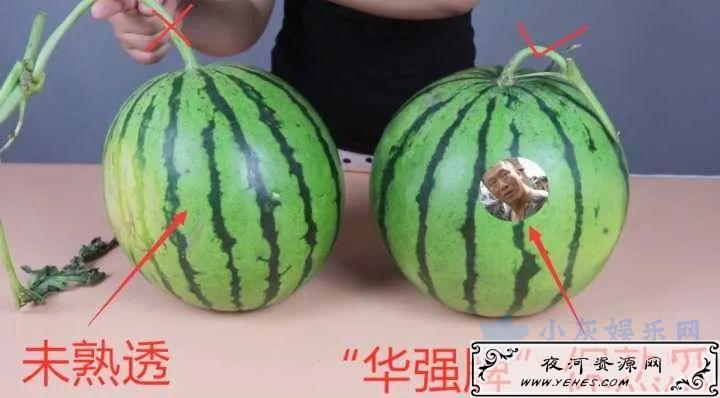 我夜市摆地摊卖水果，月赚8000-10000元！说说选货经验