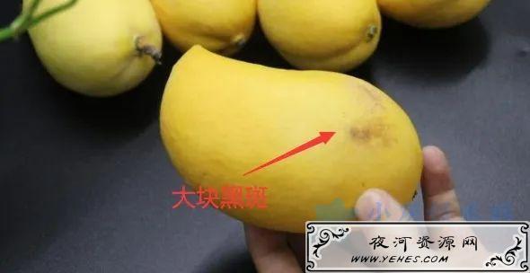 我夜市摆地摊卖水果，月赚8000-10000元！说说选货经验