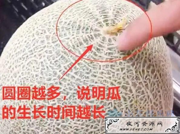 我夜市摆地摊卖水果，月赚8000-10000元！说说选货经验