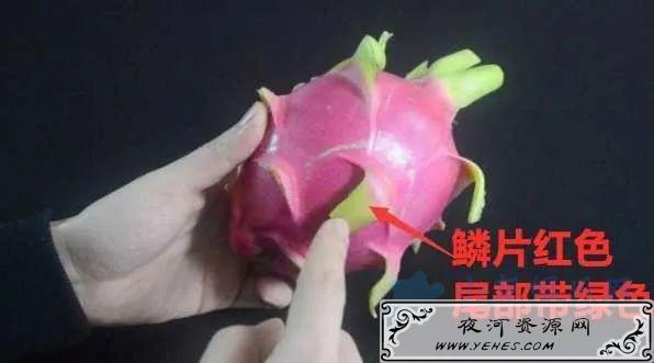 我夜市摆地摊卖水果，月赚8000-10000元！说说选货经验