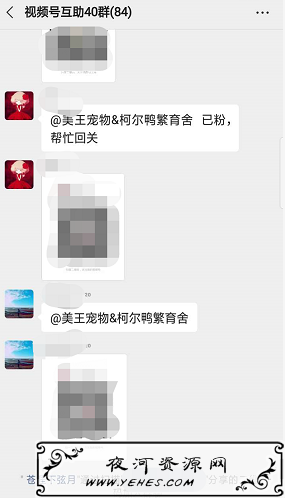 视频号涨粉首次大揭秘，卖铲子也能迅速涨粉上万