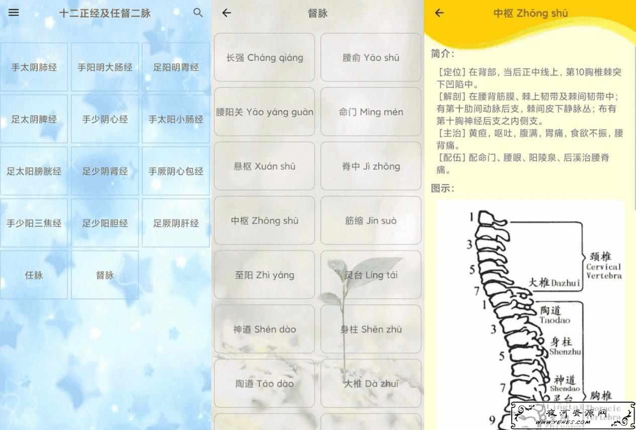 人体穴位图解大全v2.9.3