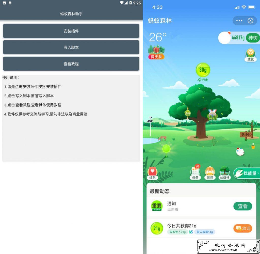 支付宝蚂蚁森林偷能量助手