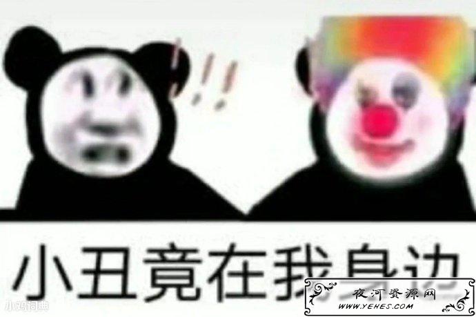 小丑竟是我自己