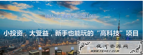 晓林冷门赚钱36招第10招小投资，大受益，新手也能玩的“高科技”项目【视频课程】