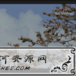 PotPlayer v1.7.21419绿色版_免费全能影音播放器