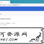 Google Chrome v88.0谷歌浏览器增强版