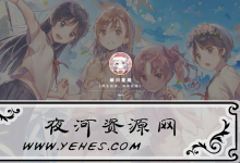 一款简约漂亮的二次元风格单双页版源码-夜河资源网