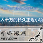 晓林冷门赚钱36招第18招轻松年入十万的长久正规小项目【视频课程】