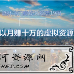 晓林冷门赚钱36招第19招可以月赚十万的虚拟资源项目【视频课程】