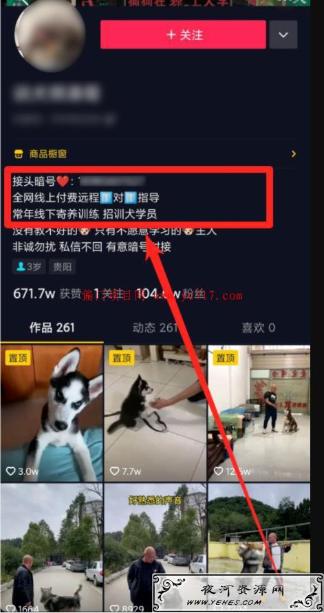 十个引流变现小项目（附成功操作案例）