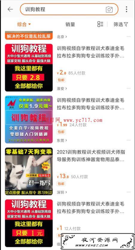十个引流变现小项目（附成功操作案例）