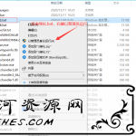 IDM多线程下载工具v6.38最新中文破解版