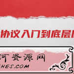 网络协议从入门到底层原理教程