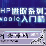 PHP进阶系列之swoole入门精讲学习教程
