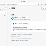 微软浏览器Microsoft Edge 绿色增强版