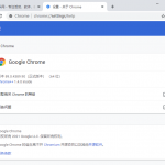 Google Chrome v89.0谷歌浏览器绿色增强版