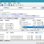 FileZilla PRO v3.53.0中文绿色版