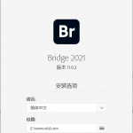 Adobe Bridge 2021 v11.0.2.123.0 专业图像管理软件