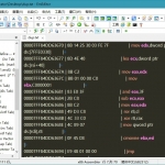 文本编辑器 EmEditor v20.7.0 附激活密钥