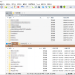 多标签文件管理器 XYplorer v21.90.0000 汉化绿色版