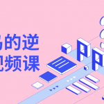 PPT菜鸟的逆袭秘籍视频课 提升PPT制作水平