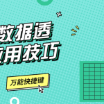 Excel数据透视表应用技巧