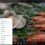 4K影音播放器 DVDFab Player v6.1.1 高级绿色版