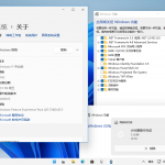 Windows11 v22000.65 精简版