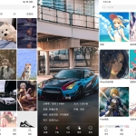 安卓元气壁纸 v1.0.6 绿色版