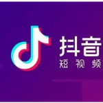 短视频学员密训课：抖音新号三天起号案例