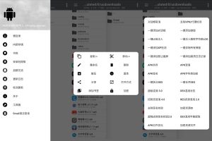 安卓逆向神器NP管理器 v3.0.28