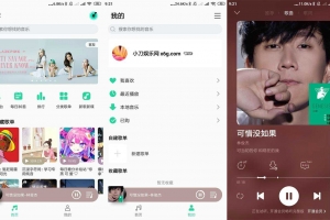 安卓QQ音乐 v1.0.1 无广告简洁版