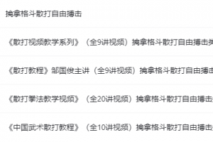 《散打基础教程》擒拿格斗散打自由搏击（全5讲视频）