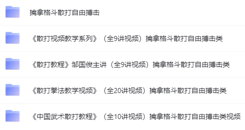 《散打基础教程》（全5讲视频）擒拿格斗散打自由搏击-1