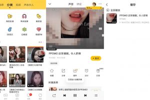 安卓耳萌ASMR v2.6.4 绿色版