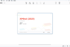 思维导图 XMind 2021 v11.1.0 大客户绿色版