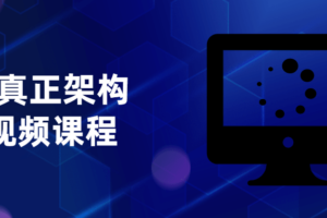 JAVA真正架构实战视频课程 构架师课程