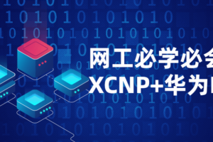 网络工程师必学必会课程XCNP+HCIP