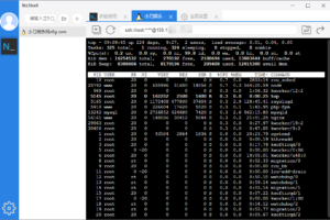 Linux远程连接工具 NxShell v1.4.5