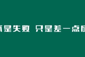 《你不是失败 只是差一点成功》