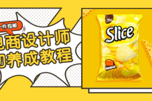 电商设计师初养成视频教程 教你怎么成为电商设计师