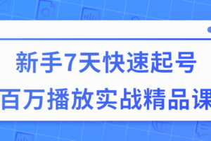 7天快速起号百万播放实战精品课 实现项目变现