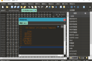 强大的编辑器 010 Editor v12.0.1汉化绿色版